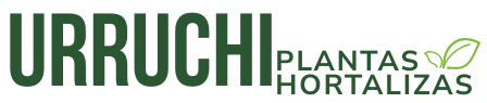 logo urruchi